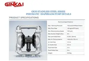 GK50 Stainless Steel AODD Pump 